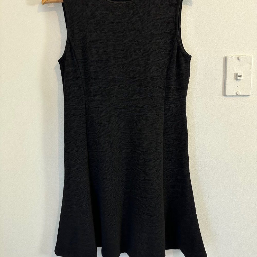 Banana Republic Mini Flare Dress